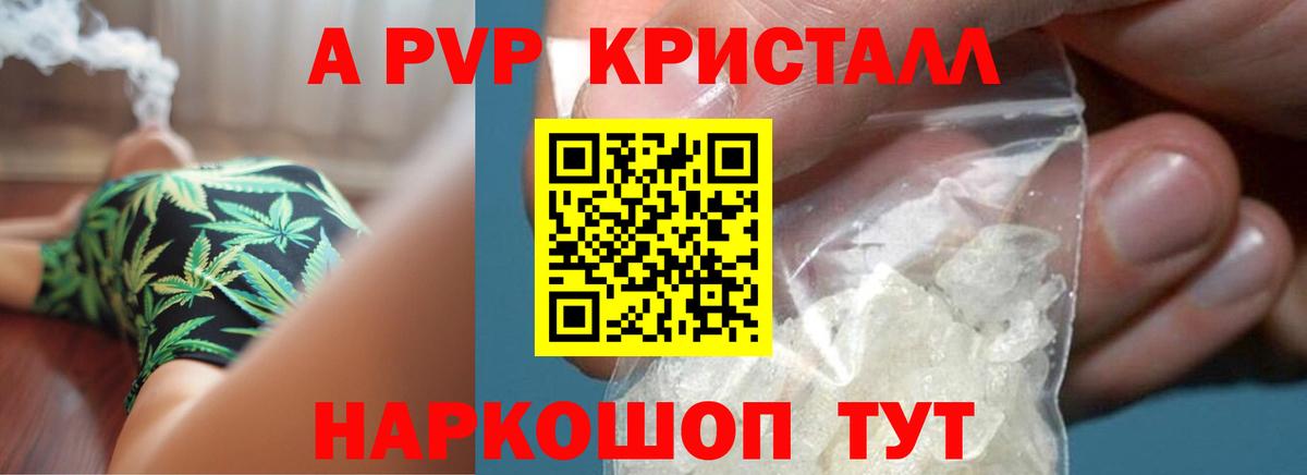 Мытищи  Alpha-PVP  Вход с VPN  Альфа ПВП СК КРИС  Alfa_PVP СК 