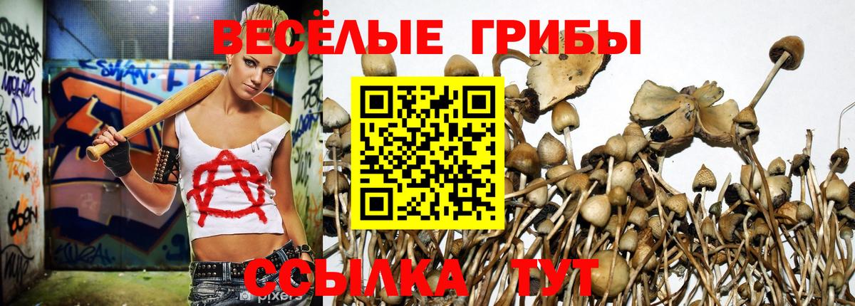 Галлюциногенные грибы Magic Shrooms  Галлюциногенные грибы MAGIC MUSHROOMS  Вход с VPN  Мытищи 